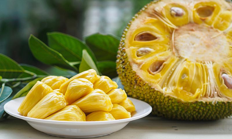 Jackfruit Egzotyczny Owoc Odkrycie Dla Wegan I Wegetarian