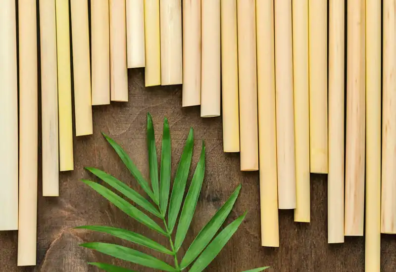 Zrównoważony biznes w branży gastronomicznej - jak ekologiczne słomki mogą Ci pomóc? 